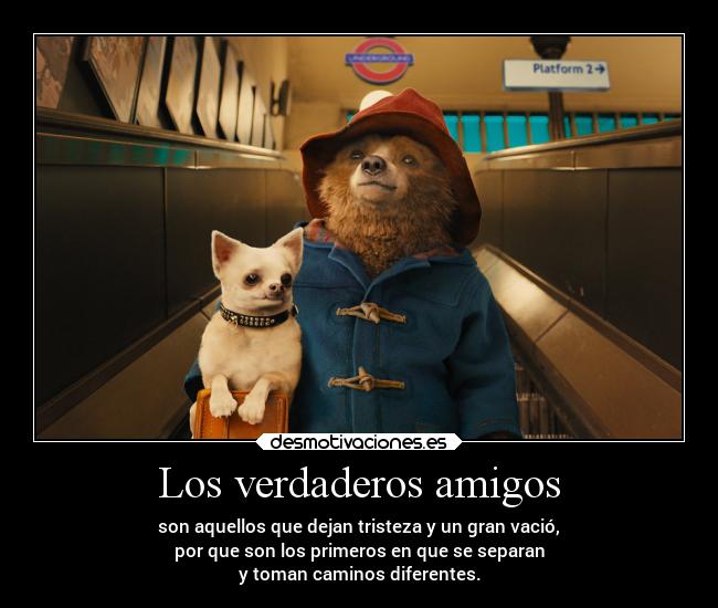 Los verdaderos amigos - son aquellos que dejan tristeza y un gran vació,
por que son los primeros en que se separan
y toman caminos diferentes.