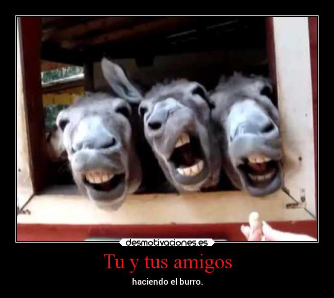 Tu y tus amigos -