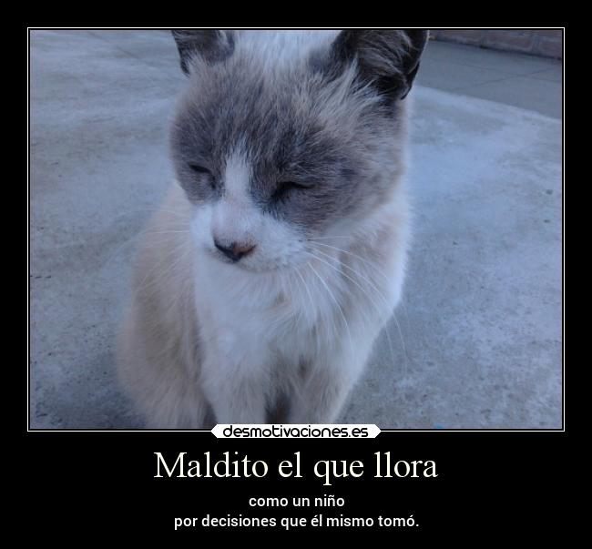 Maldito el que llora - como un niño
por decisiones que él mismo tomó.