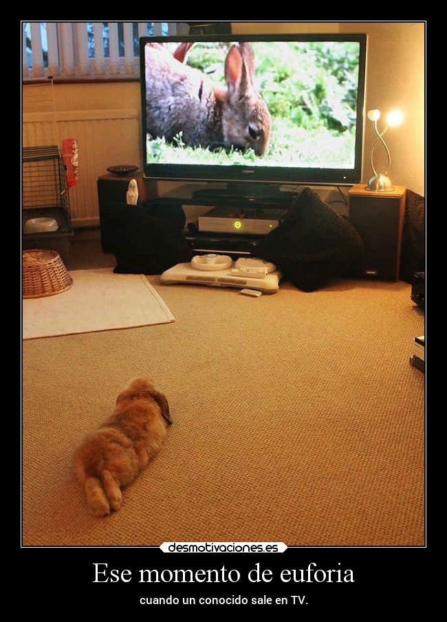 Ese momento de euforia - cuando un conocido sale en TV.