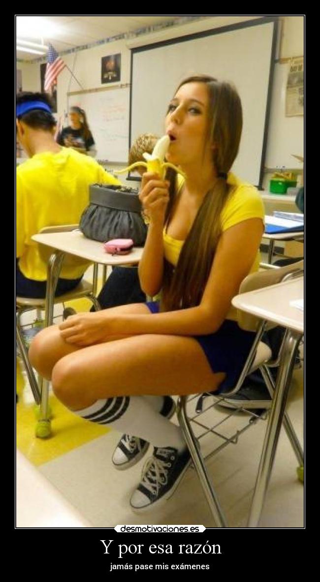Y por esa razón - jamás pase mis exámenes