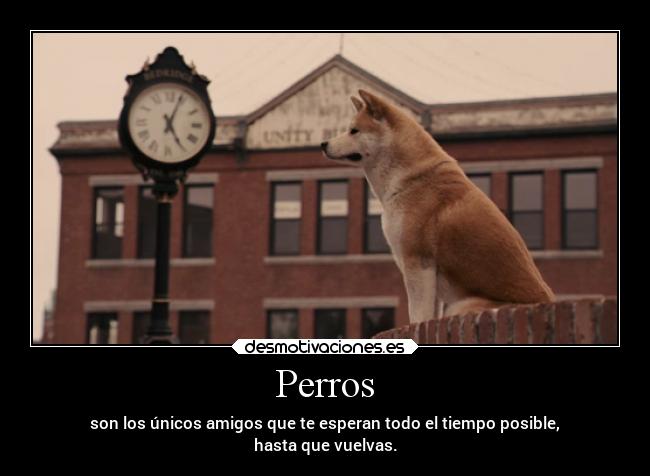 Perros - son los únicos amigos que te esperan todo el tiempo posible,
hasta que vuelvas.