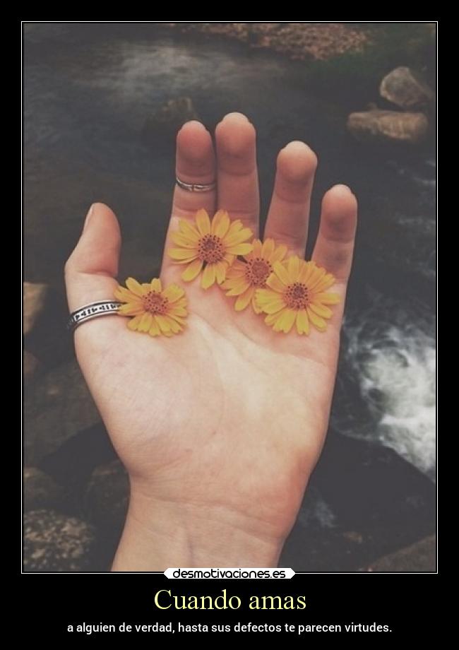 Cuando amas - a alguien de verdad, hasta sus defectos te parecen virtudes.