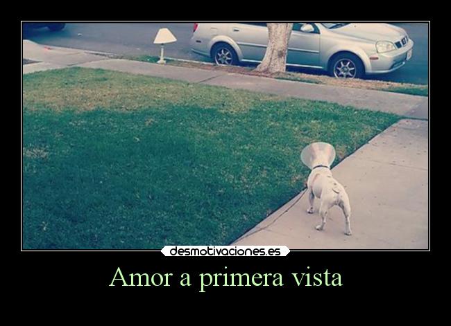 Amor a primera vista -