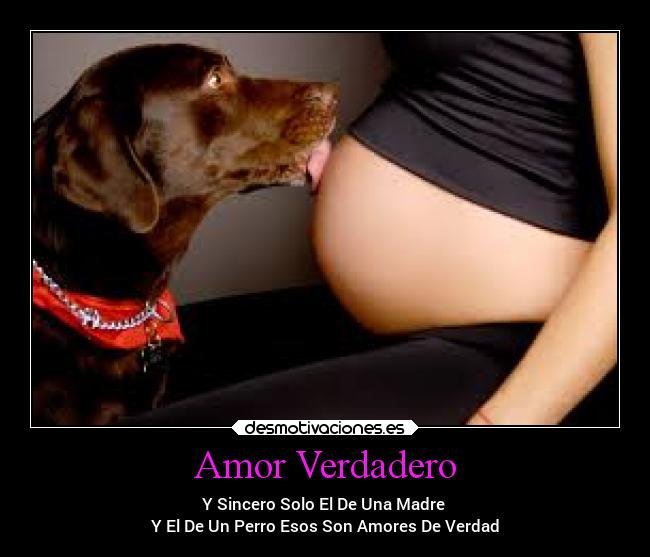 Amor Verdadero -