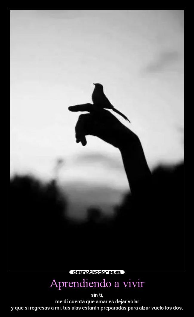 Aprendiendo a vivir -
