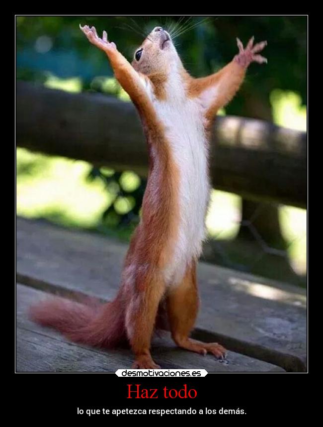 Haz todo - lo que te apetezca respectando a los demás.