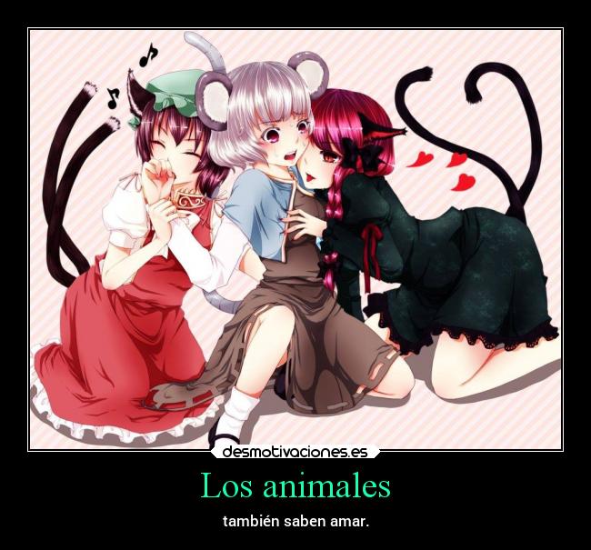 carteles animales amor anime touhou rin nazrin chen desmotivaciones