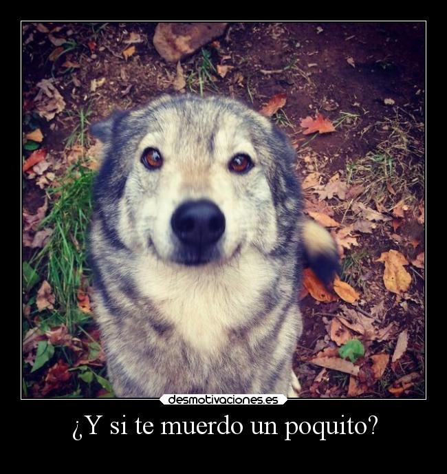¿Y si te muerdo un poquito? -