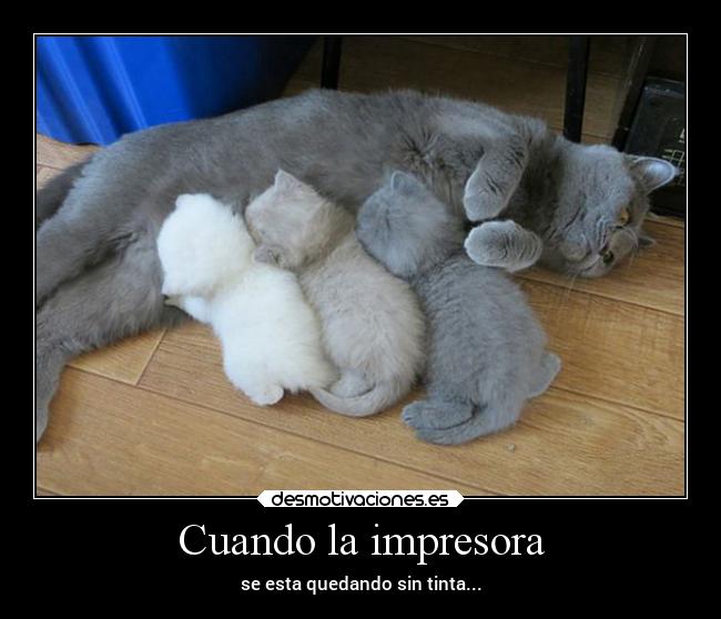 Cuando la impresora - 