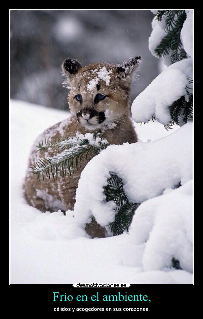 Frío en el ambiente, - cálidos y acogedores en sus corazones.