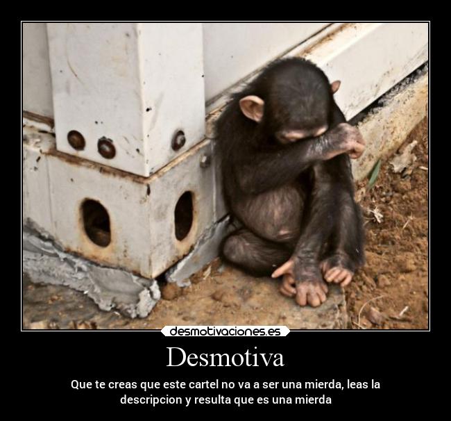 Desmotiva - Que te creas que este cartel no va a ser una mierda, leas la
descripcion y resulta que es una mierda