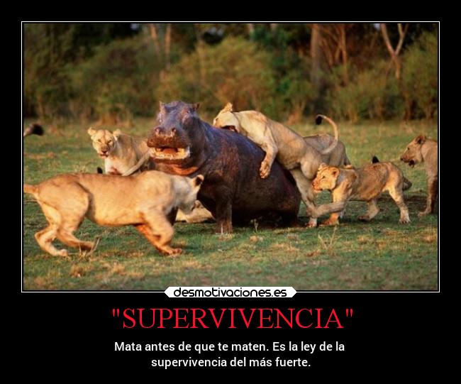 SUPERVIVENCIA -