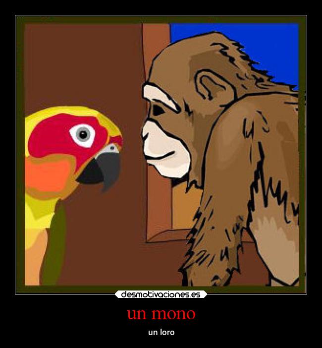 un mono - un loro