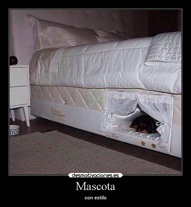 Mascota - 