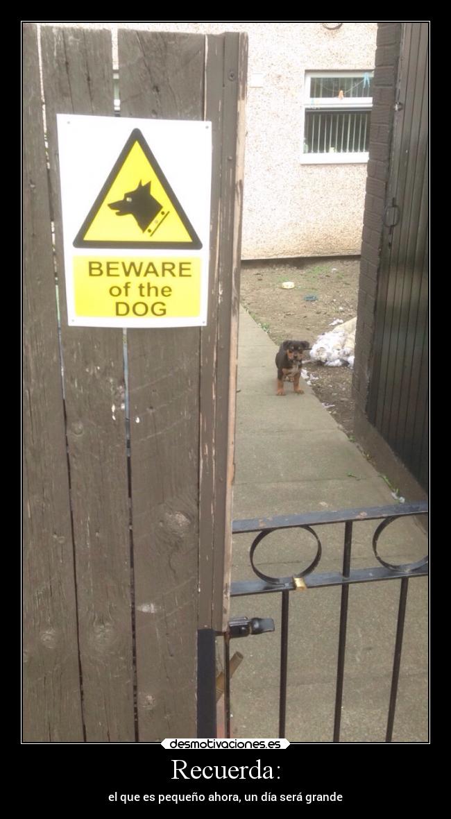 carteles animales desmotivaciones