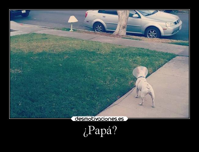 ¿Papá? - 