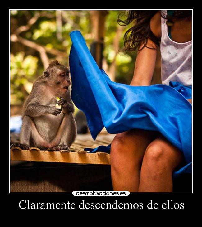 Claramente descendemos de ellos -