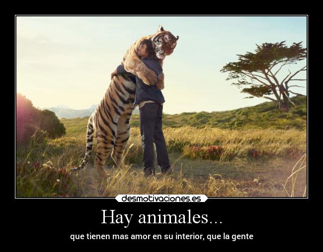 Hay animales... -