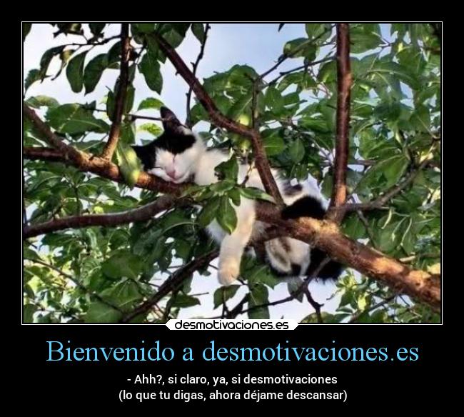 Bienvenido a desmotivaciones.es -