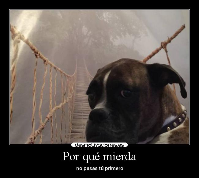 Por qué mierda - no pasas tú primero