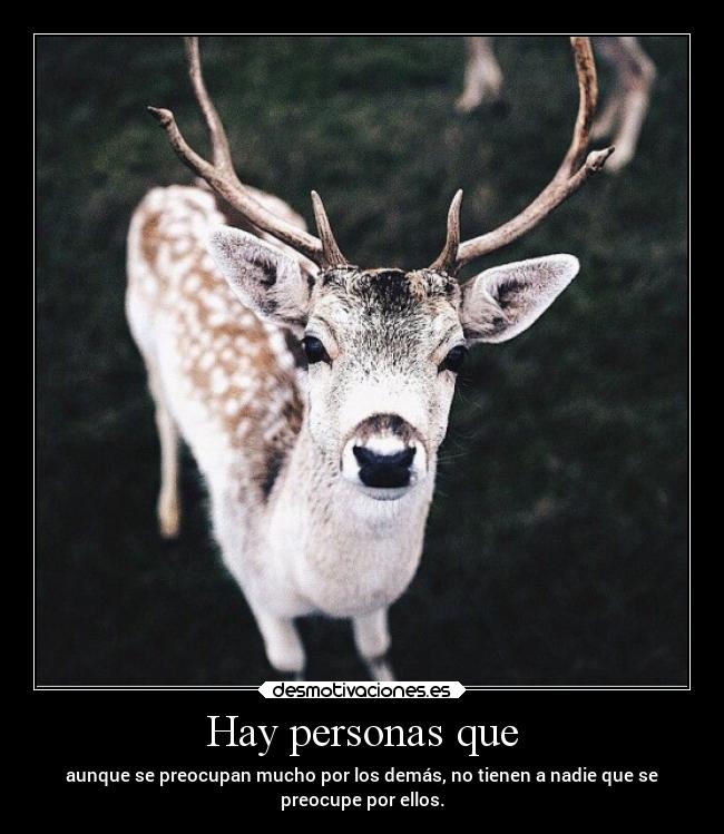 carteles caracter desmotivaciones