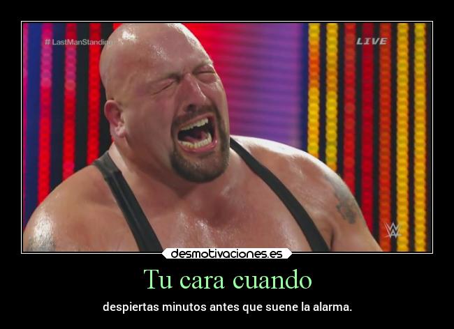 carteles casa big show desmotivaciones