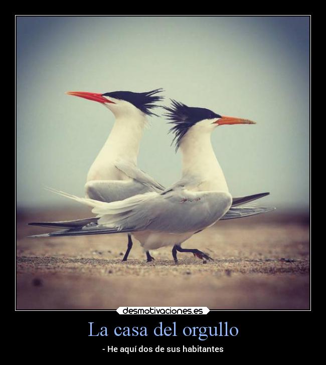 La casa del orgullo Desmotivaciones