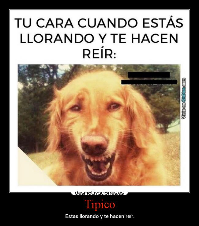 Tipico - Estas llorando y te hacen reír.