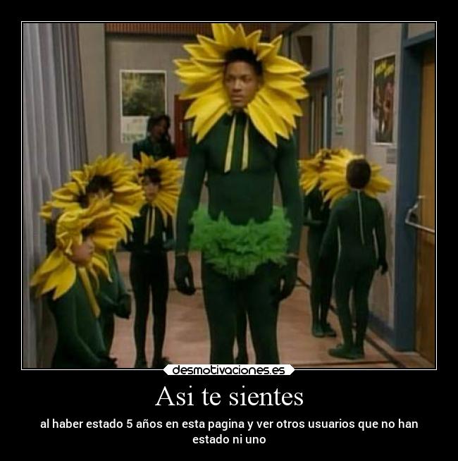 Asi te sientes - al haber estado 5 años en esta pagina y ver otros usuarios que no han
estado ni uno