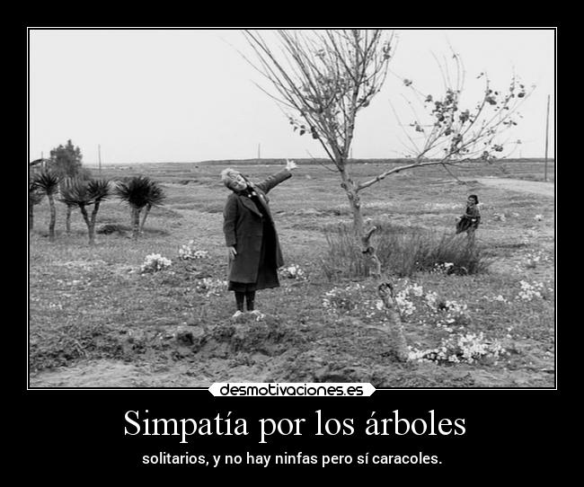 Simpatía por los árboles -