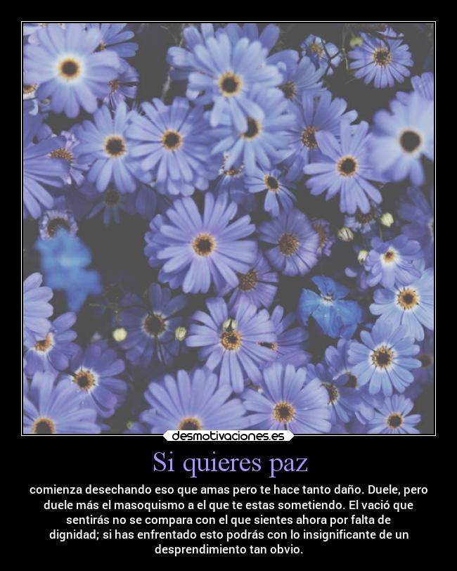 Si quieres paz -