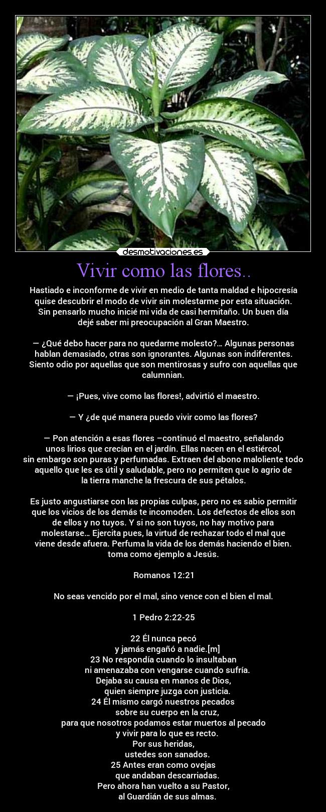 Vivir como las flores.. - Hastiado e inconforme de vivir en medio de tanta maldad e hipocresía
quise descubrir el modo de vivir sin molestarme por esta situación.
Sin pensarlo mucho inicié mi vida de casi hermitaño. Un buen día
dejé saber mi preocupación al Gran Maestro.

— ¿Qué debo hacer para no quedarme molesto?… Algunas personas
hablan demasiado, otras son ignorantes. Algunas son indiferentes.
Siento odio por aquellas que son mentirosas y sufro con aquellas que
calumnian.

— ¡Pues, vive como las flores!, advirtió el maestro.

— Y ¿de qué manera puedo vivir como las flores?

— Pon atención a esas flores –continuó el maestro, señalando
unos lirios que crecían en el jardín. Ellas nacen en el estiércol,
sin embargo son puras y perfumadas. Extraen del abono maloliente todo
aquello que les es útil y saludable, pero no permiten que lo agrio de
la tierra manche la frescura de sus pétalos.

Es justo angustiarse con las propias culpas, pero no es sabio permitir
que los vicios de los demás te incomoden. Los defectos de ellos son
de ellos y no tuyos. Y si no son tuyos, no hay motivo para
molestarse… Ejercita pues, la virtud de rechazar todo el mal que
viene desde afuera. Perfuma la vida de los demás haciendo el bien.
toma como ejemplo a Jesús.

Romanos 12:21

No seas vencido por el mal, sino vence con el bien el mal.

1 Pedro 2:22-25

22 Él nunca pecó
    y jamás engañó a nadie.[m]
23 No respondía cuando lo insultaban
    ni amenazaba con vengarse cuando sufría.
Dejaba su causa en manos de Dios,
    quien siempre juzga con justicia.
24 Él mismo cargó nuestros pecados
    sobre su cuerpo en la cruz,
para que nosotros podamos estar muertos al pecado
    y vivir para lo que es recto.
Por sus heridas,
    ustedes son sanados.
25 Antes eran como ovejas
    que andaban descarriadas.
Pero ahora han vuelto a su Pastor,
    al Guardián de sus almas.