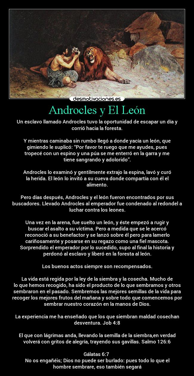 Androcles y El León - Un esclavo llamado Androcles tuvo la oportunidad de escapar un día y
corrió hacia la foresta.

Y mientras caminaba sin rumbo llegó a donde yacía un león, que
gimiendo le suplicó: “Por favor te ruego que me ayudes, pues
tropecé con un espino y una púa se me enterró en la garra y me
tiene sangrando y adolorido”.

Androcles lo examinó y gentilmente extrajo la espina, lavó y curó
la herida. El león lo invitó a su cueva donde compartía con él el
alimento.

Pero días después, Androcles y el león fueron encontrados por sus
buscadores. Llevado Androcles al emperador fue condenado al redondel a
luchar contra los leones.

Una vez en la arena, fue suelto un león, y éste empezó a rugir y
buscar el asalto a su víctima. Pero a medida que se le acercó
reconoció a su benefactor y se lanzó sobre él pero para lamerlo
cariñosamente y posarse en su regazo como una fiel mascota.
Sorprendido el emperador por lo sucedido, supo al final la historia y
perdonó al esclavo y liberó en la foresta al león.

Los buenos actos siempre son recompensados.

La vida está regida por la ley de la siembra y la cosecha. Mucho de
lo que hemos recogido, ha sido el producto de lo que sembramos y otros
sembraron en el pasado. Sembremos las mejores semillas de la vida para
recoger los mejores frutos del mañana y sobre todo que comencemos por
sembrar nuestro corazón en la manos de Dios.

La experiencia me ha enseñado que los que siembran maldad cosechan
desventura. Job 4:8

El que con lágrimas anda, llevando la semilla de la siembra,en verdad
volverá con gritos de alegría, trayendo sus gavillas. Salmo 126:6

Gálatas 6:7 
No os engañéis; Dios no puede ser burlado: pues todo lo que el
hombre sembrare, eso también segará