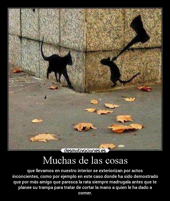 Muchas de las cosas -