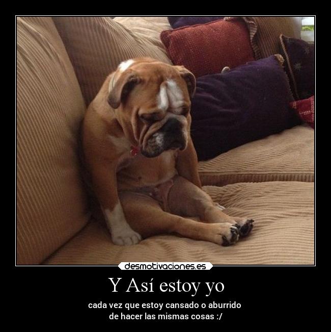 Y Así estoy yo - cada vez que estoy cansado o aburrido 
de hacer las mismas cosas :/
