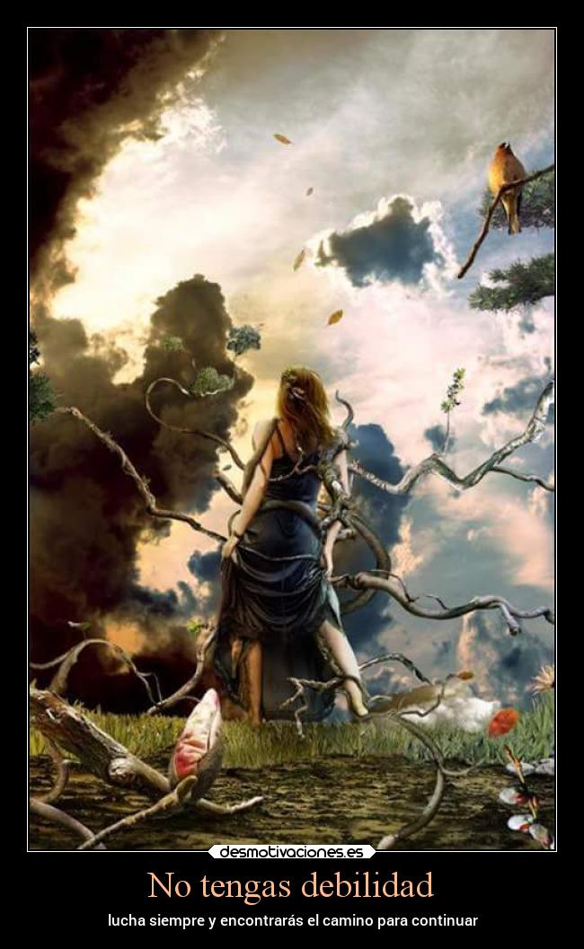 No tengas debilidad - lucha siempre y encontrarás el camino para continuar