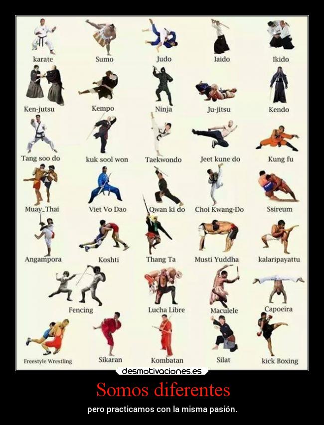 Somos diferentes - pero practicamos con la misma pasión.