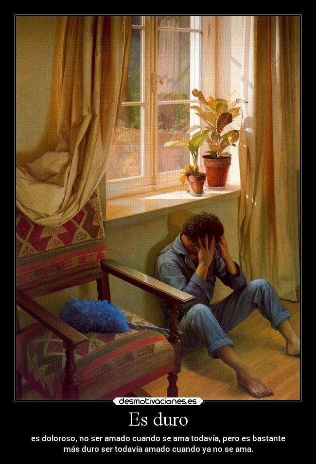 carteles desamor desmotivaciones