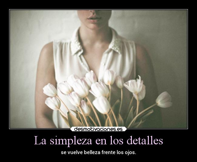 La simpleza en los detalles -
