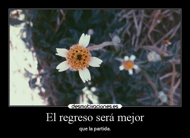 El regreso será mejor - que la partida.