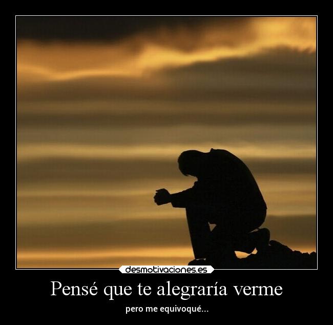 Pensé que te alegraría verme -