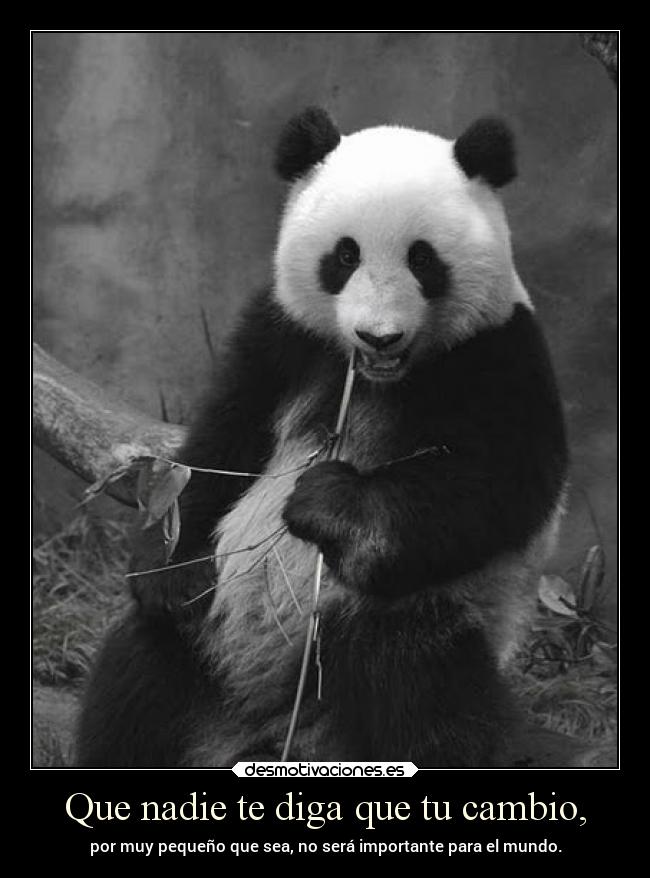 Que nadie te diga que tu cambio, - por muy pequeño que sea, no será importante para el mundo.