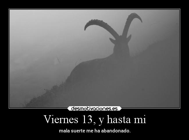 Viernes 13, y hasta mi - mala suerte me ha abandonado.