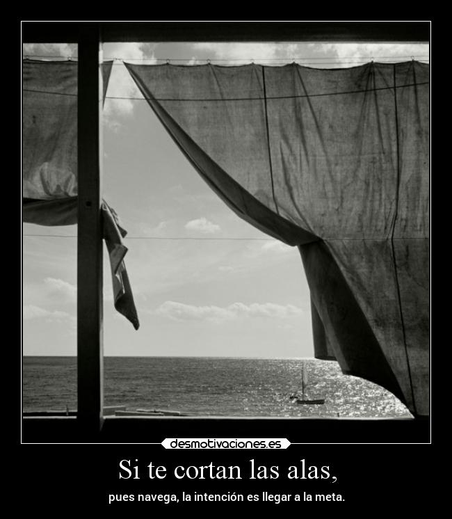 Si te cortan las alas, - 