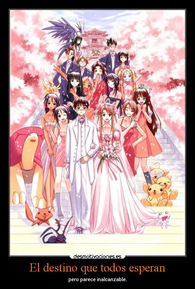 El destino que todos esperan -