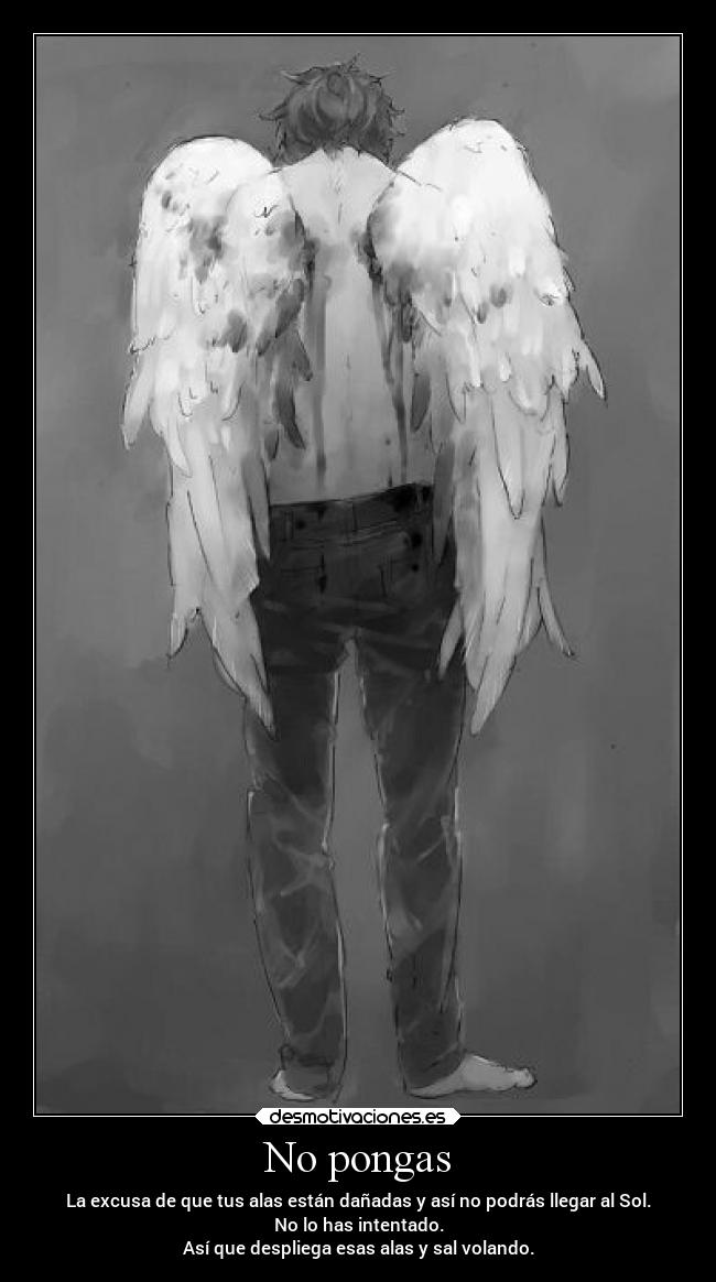 carteles destino volar cielo desmotivaciones