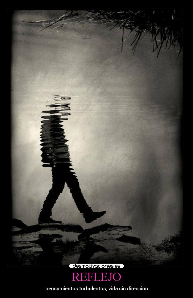 REFLEJO -