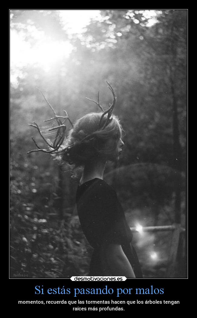 Si estás pasando por malos - momentos, recuerda que las tormentas hacen que los árboles tengan
raíces más profundas.