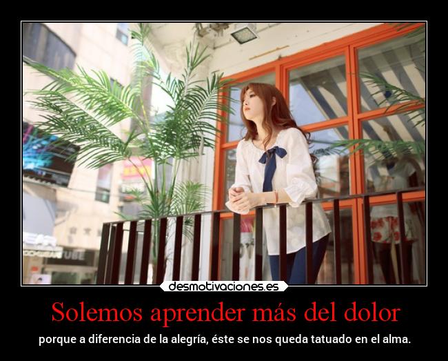 Solemos aprender más del dolor -